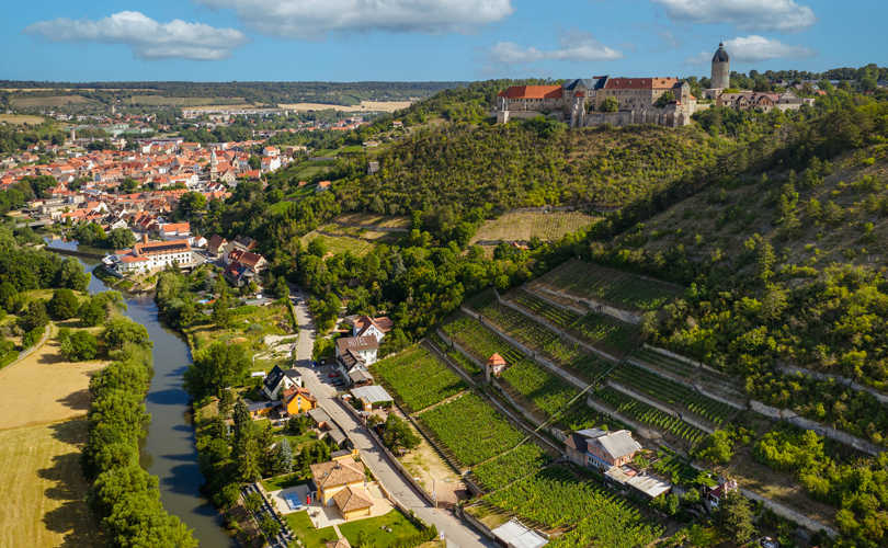 Herzoglicher Weinberg, Stadt Freyburg und Schloss Neuenburg Herzoglicher Weinberg, Stadt Freyburg und Schloss Neuenburg