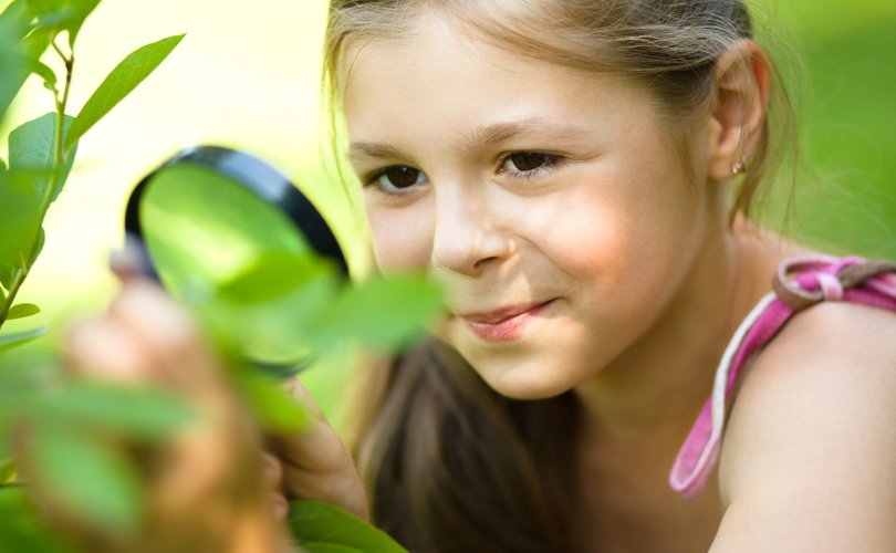 Natur entdecken Natur entdecken